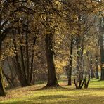 Herbst Wald