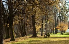 Herbst Wald