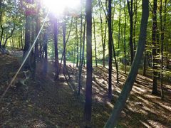 Herbst, Wald, Lady