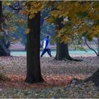 Herbst-Waldlauf