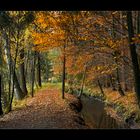 Herbst-Waldweg