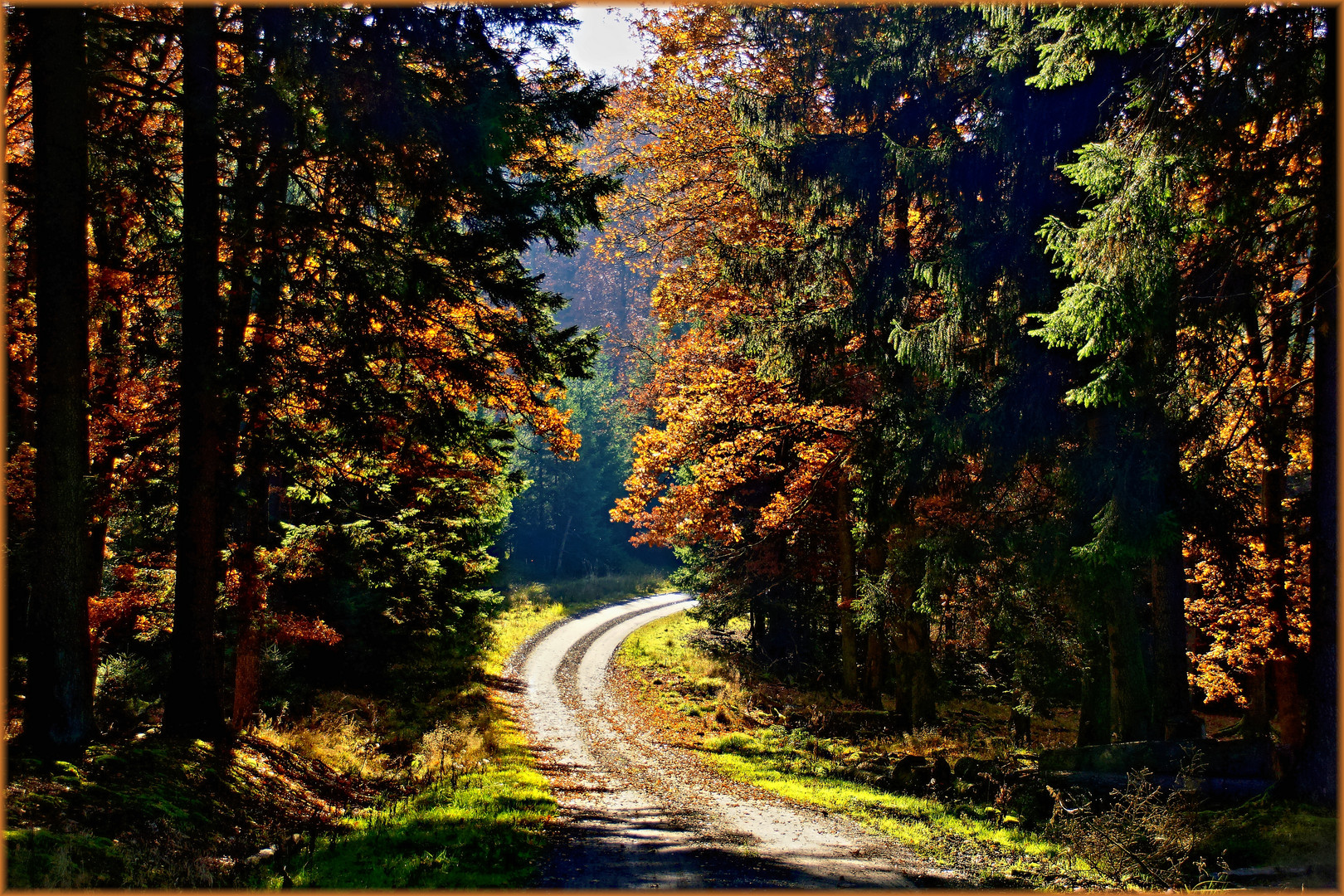 Herbst-Wandertag