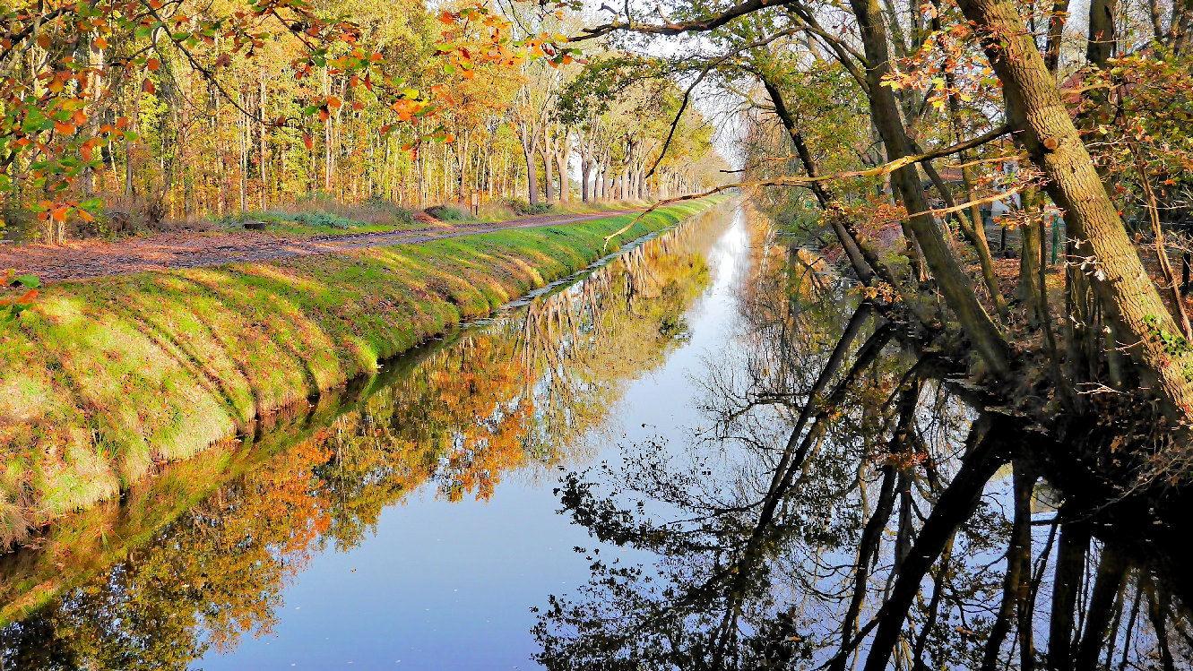 Herbst-Wanderung am Allerkanal