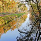 Herbst-Wanderung am Allerkanal