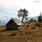 Herbst Wanderung am Weissensee