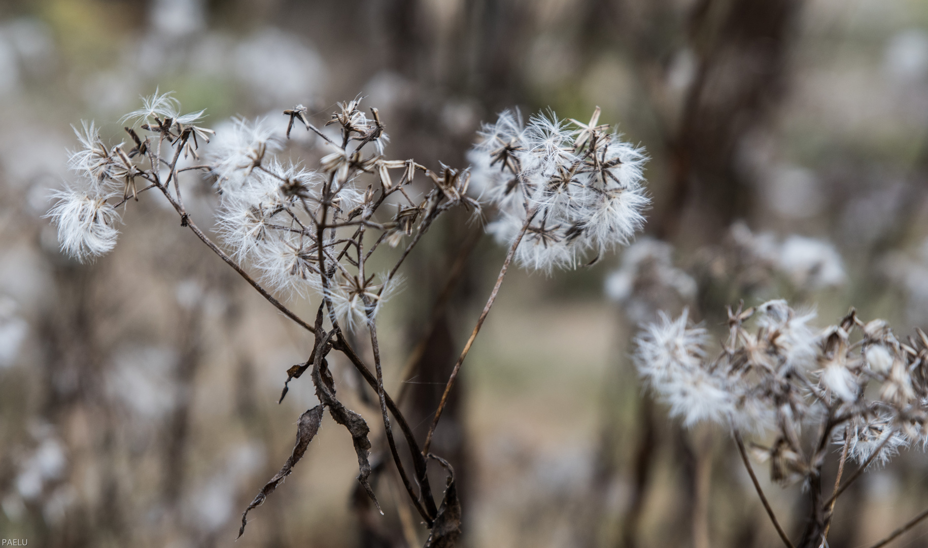 Herbst-Wanderung