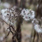 Herbst-Wanderung