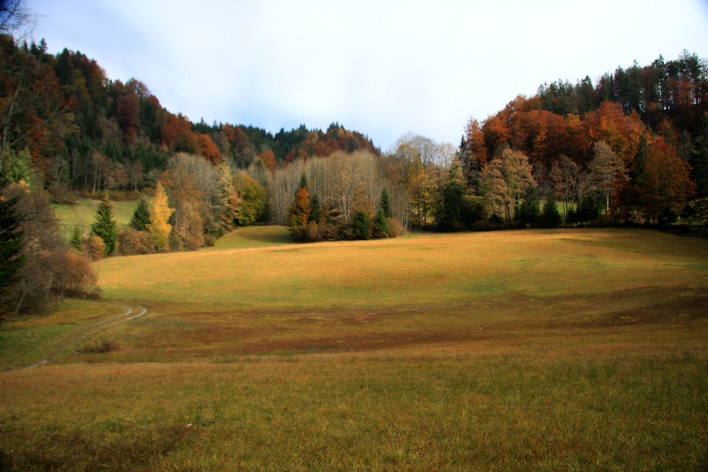 Herbst-Wanderung Bei Golling in Salzburg