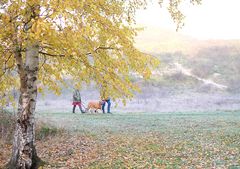 herbst-wanderung