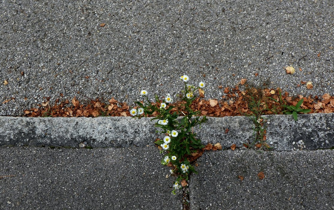 Herbst war mal und kommt mal