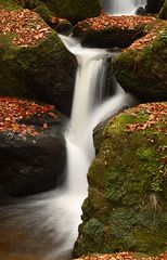 Herbst-Wasser