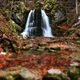 Herbst-Wasserfall