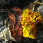 Herbst-Wasserfarben # 2