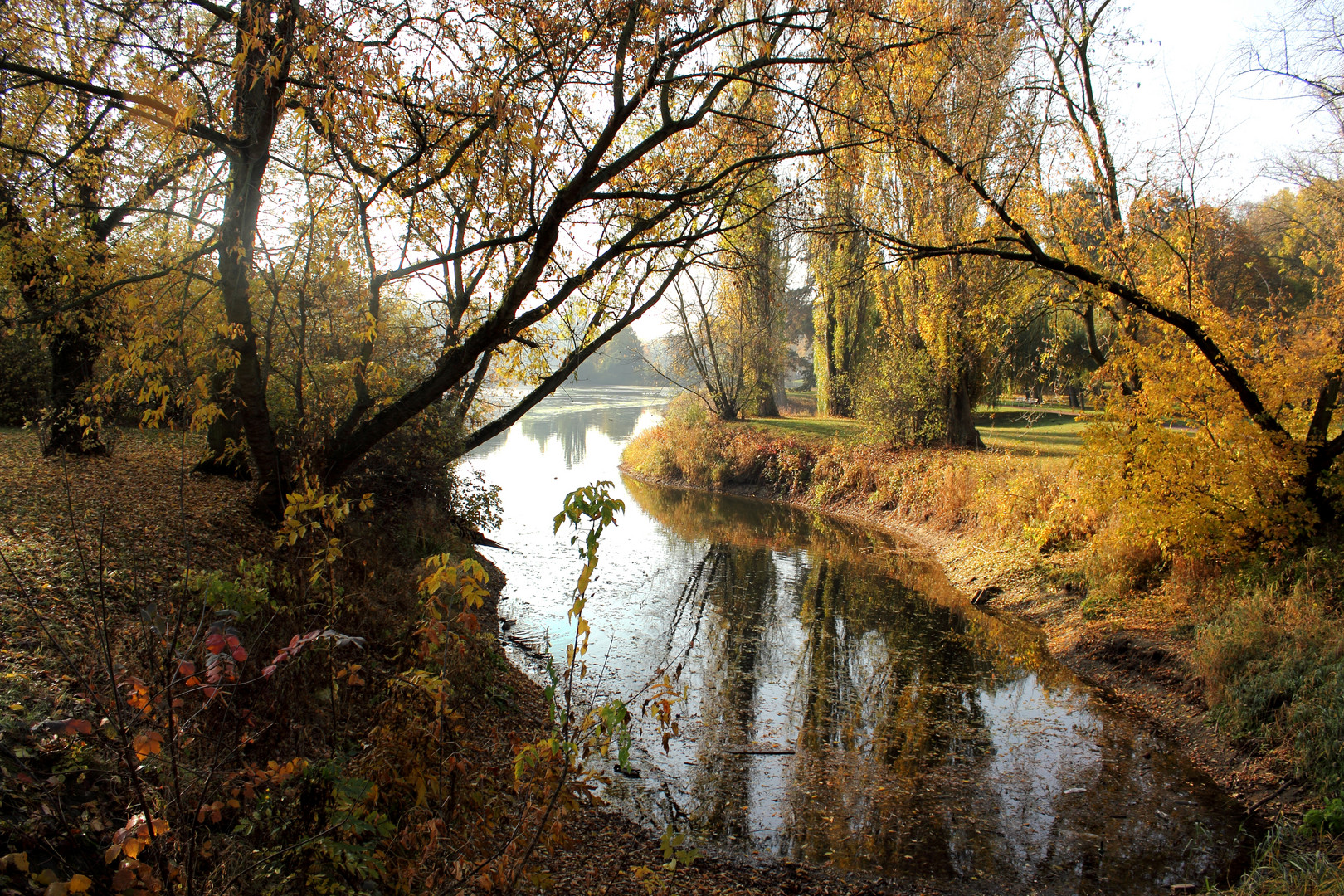 Herbst- Wasserlauf-