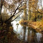 Herbst- Wasserlauf-