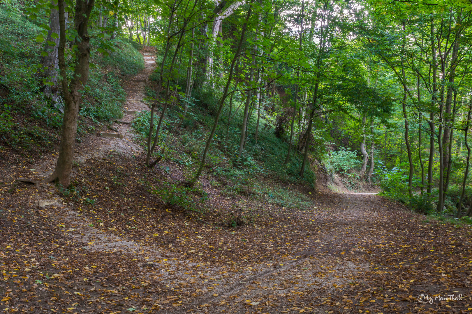 Herbst-Weg