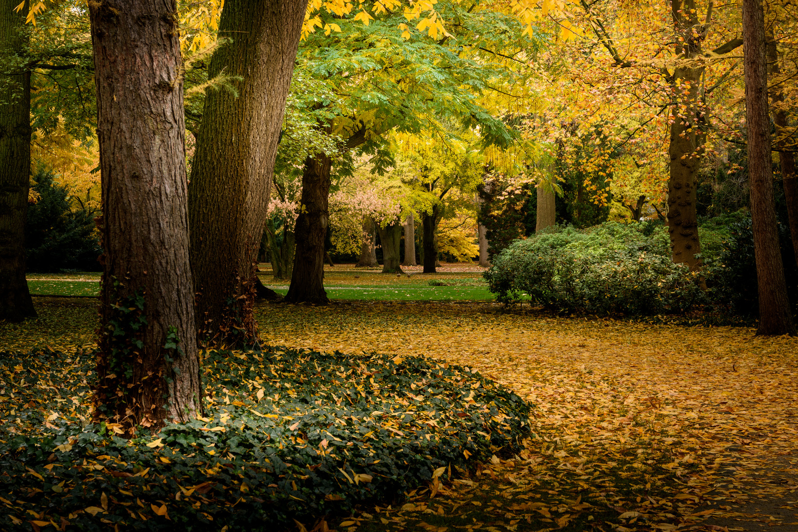 Herbst-Weg