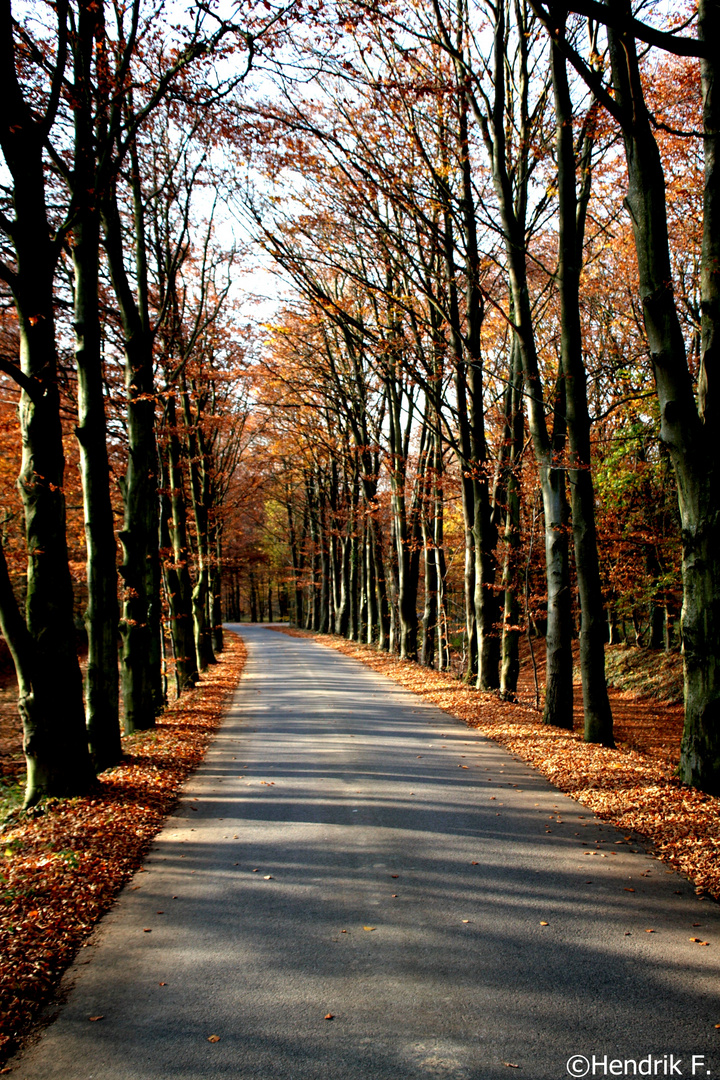 Herbst Weg