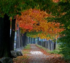 Herbst-Weg