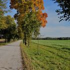 Herbst Weg