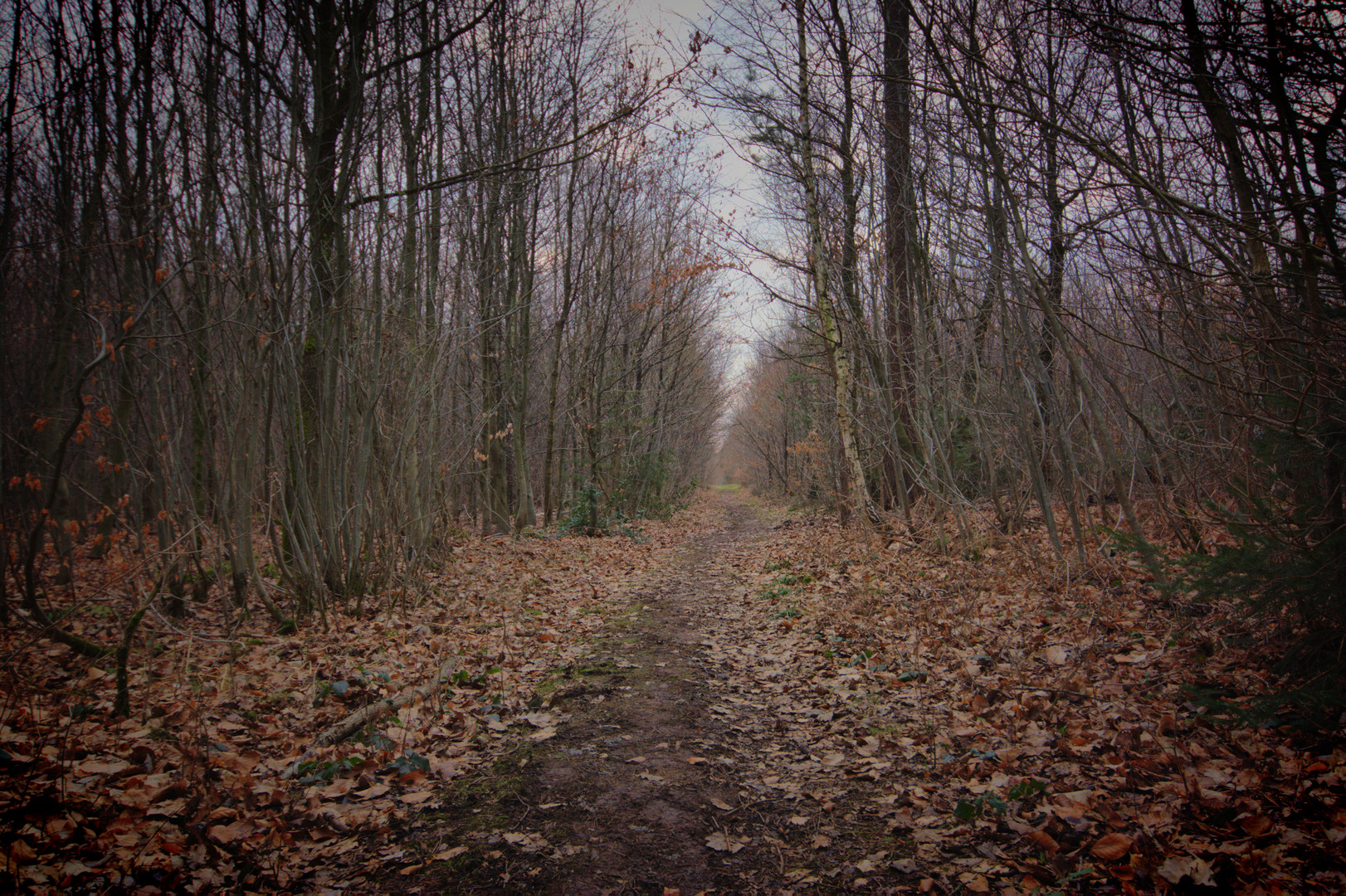 Herbst-Weg