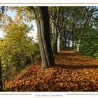 Herbst-Weg