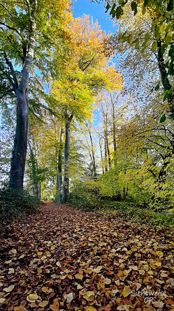 Herbst Weg