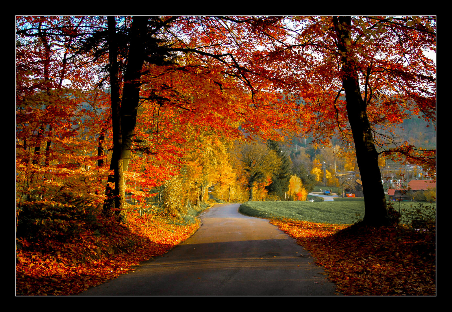 Herbst - Weg in's Licht.