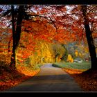 Herbst - Weg in's Licht.
