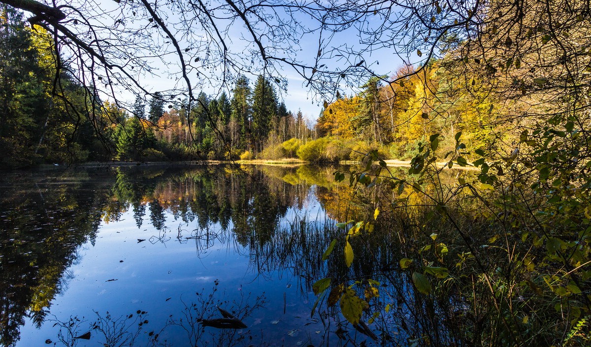 Herbst - Weiher bei Eppenbrunn -