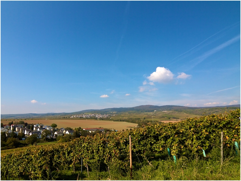 Herbst - Weinwanderung IV