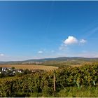 Herbst - Weinwanderung IV