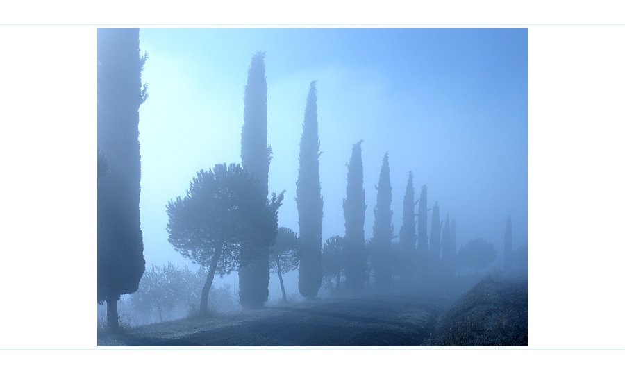 Herbst - wenn der Nebel sich lichtet