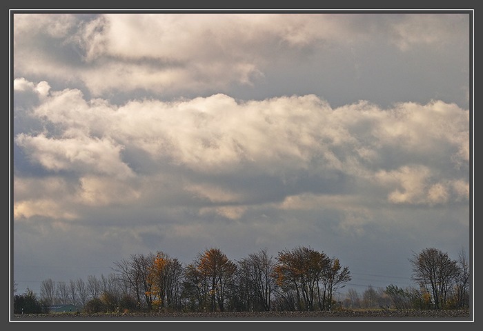 Herbst-Wetter (01618)