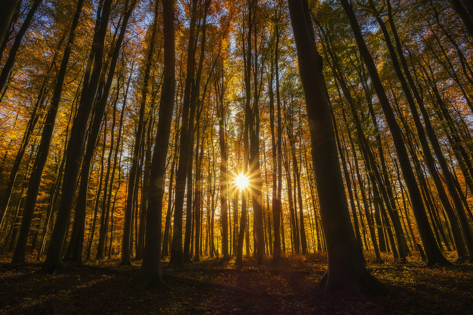 Herbst wie ich ihn mag