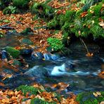 Herbst wie ich ihn mag