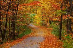 Herbst wie in meinen Träume