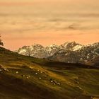 ..Herbst wie vor 100 Jahren in Guarda