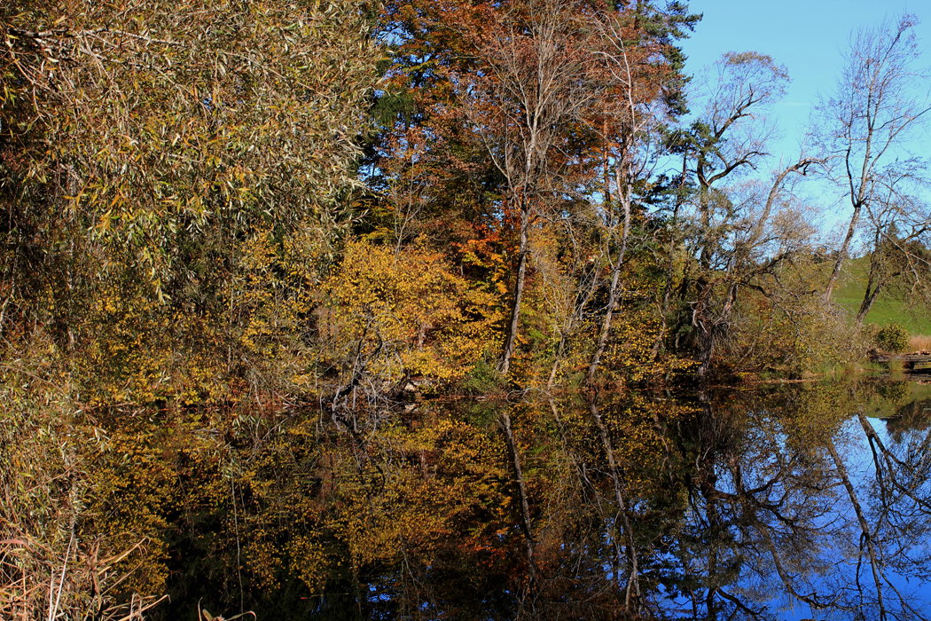 Herbst - wild und schön