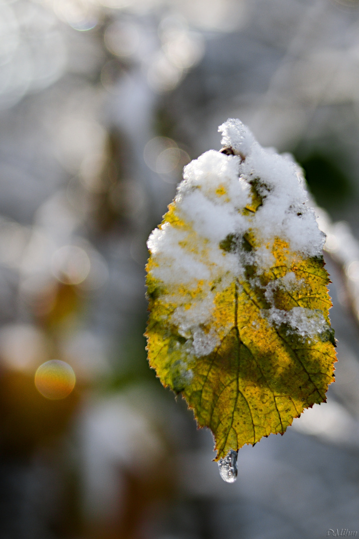 Herbst & Winter