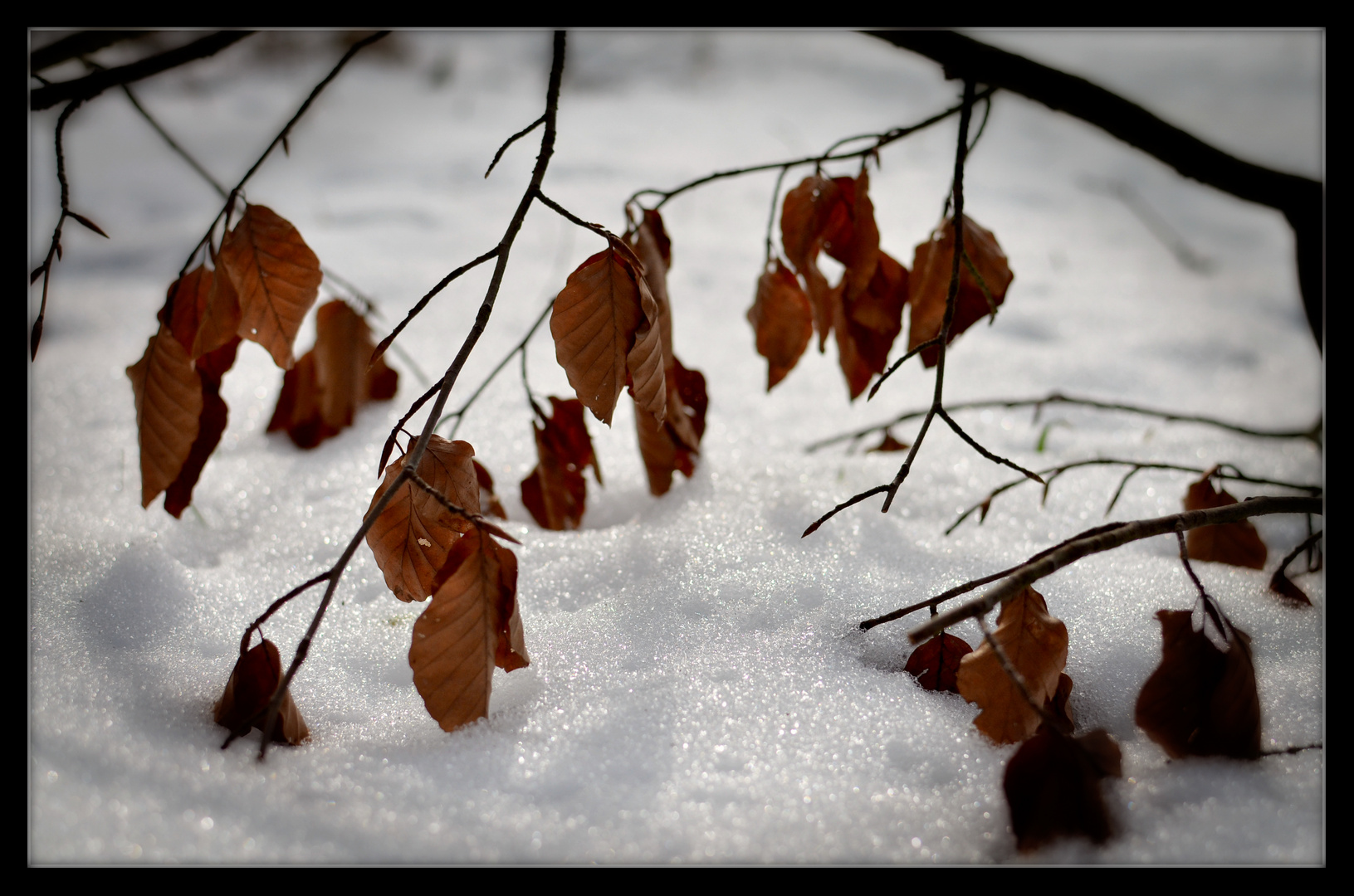 Herbst & Winter