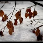 Herbst & Winter