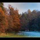 Herbst / Winter