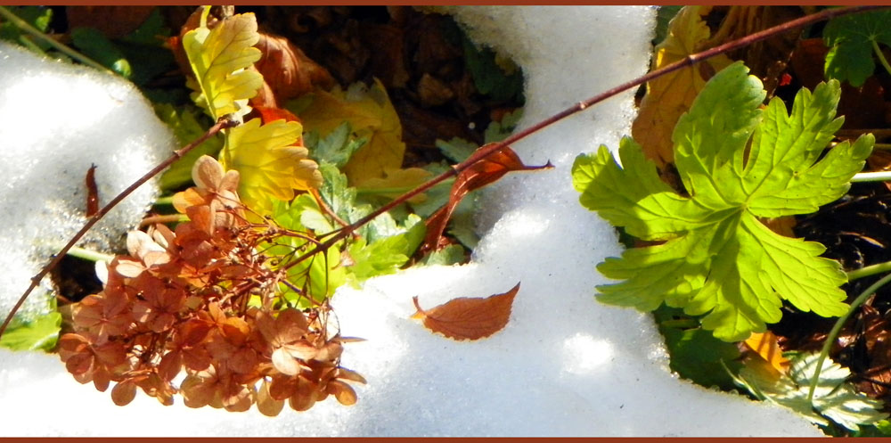 Herbst & Winter