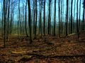 Herbst & Winter von Janine Stübing