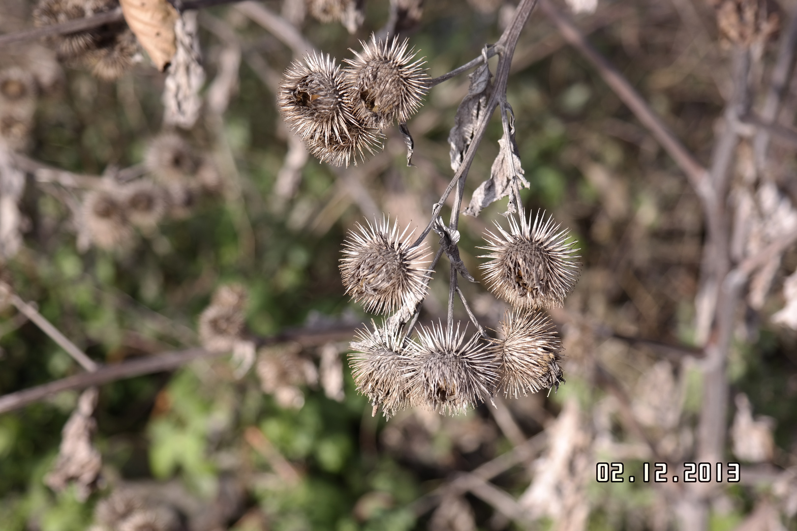 Herbst / Winter