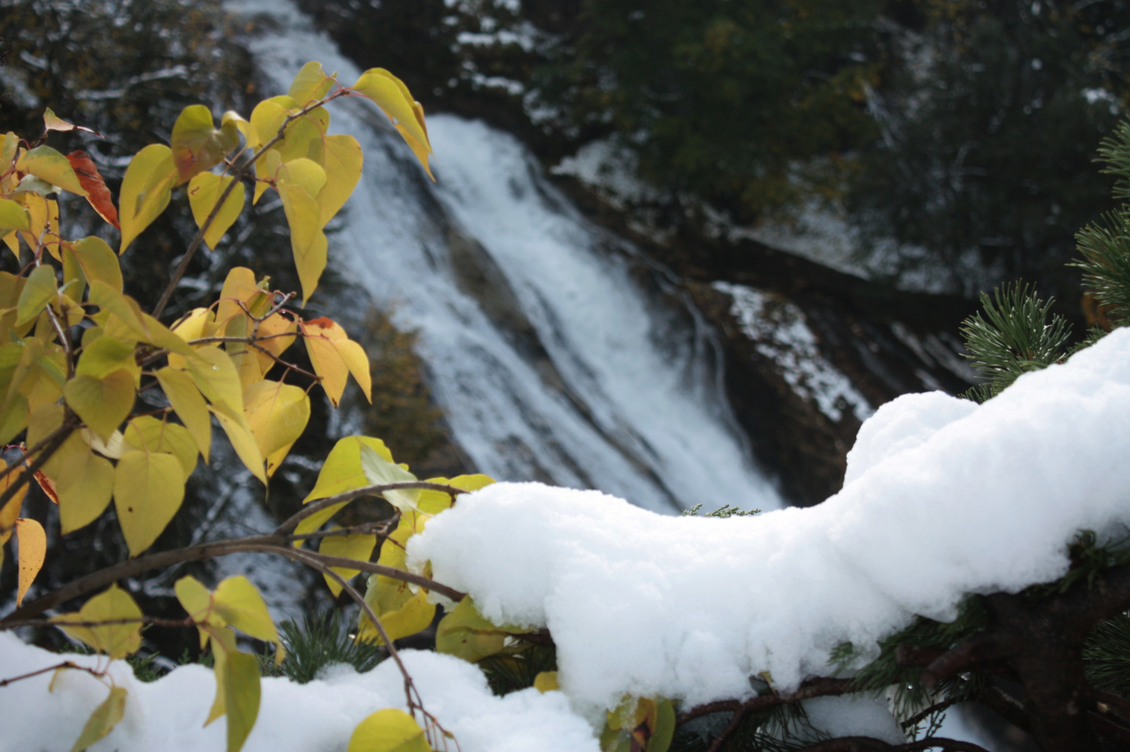 Herbst & Winter