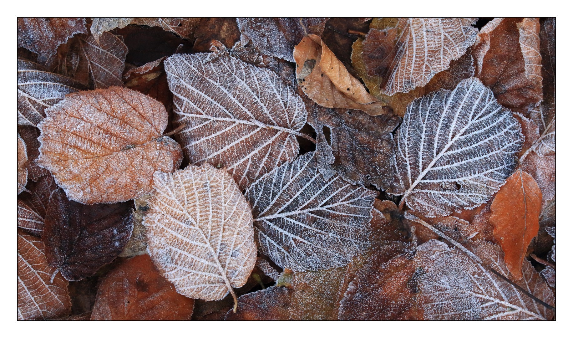 Herbst & Winter