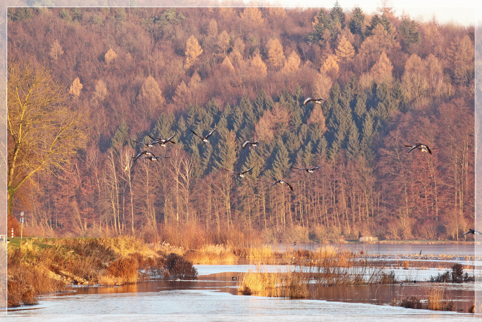 Herbst/ Winter am Schiedersee