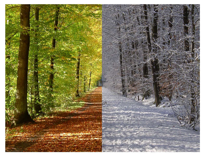 Herbst & Winter